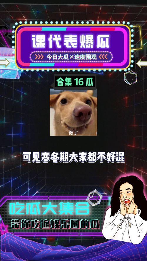 娱乐吃瓜八卦圈,明星幕后故事大曝光！