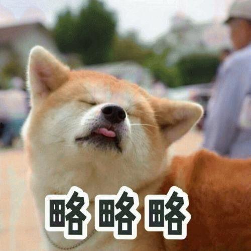 娱乐吃瓜酱送小狗视频大全,萌宠小狗视频大全，萌化你的心！
