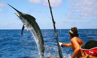 娱乐吃瓜钓鱼视频,吃瓜、钓鱼视频带你领略休闲生活新风尚