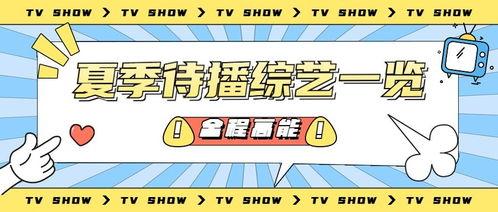 娱乐吃瓜号会不会侵权,如何规避侵权风险