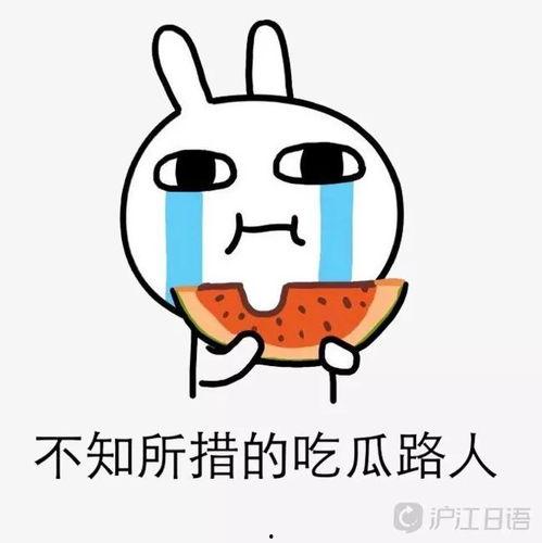 娱乐吃瓜酱血型