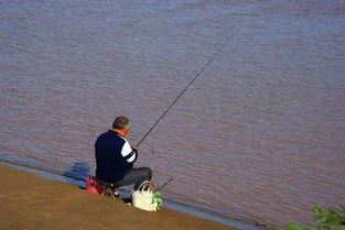 娱乐吃瓜君钓鱼,揭秘娱乐圈背后的秘密与八卦