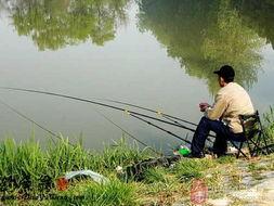 娱乐吃瓜君钓鱼,揭秘娱乐圈背后的秘密与八卦