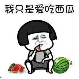 娱乐吃瓜酱是谁教你们