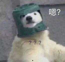 羊了个羊吃瓜娱乐,吃瓜娱乐背后的网络狂欢