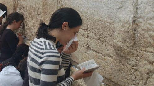 娱乐吃瓜君张扬,揭秘娱乐圈幕后故事