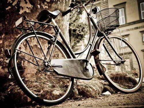 娱乐吃瓜酱自行车,自行车界的潮流新宠