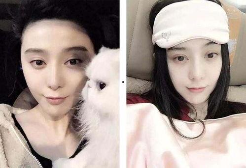 娱乐圈明星吃瓜介绍图,幕后真相大曝光