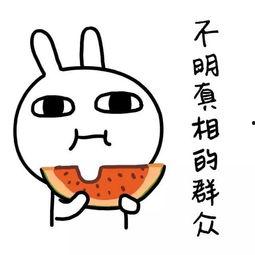 娱乐吃瓜酱完形填空,揭秘娱乐圈那些不为人知的幕后故事